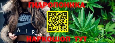 индика Коммунар