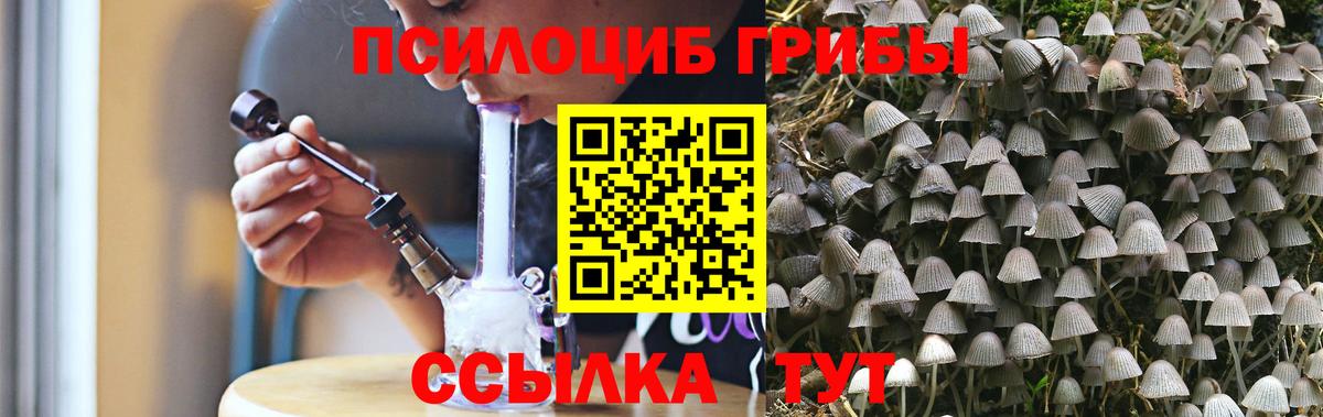Сарапул  Галлюциногенные грибы MAGIC MUSHROOMS  Вход с VPN  Псилоцибиновые грибы Cubensis 